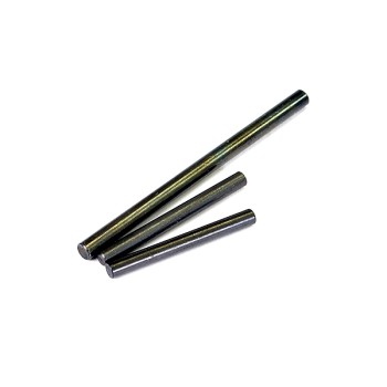 FTX Vantage/Carnage Hinge Pins Fr/rr Outer X 1 & Inner X 1
