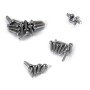 FTX Moray Screw Set