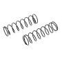 FTX RamRaider Shock Spring Rear (2pcs)