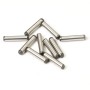 FTX Stinger Main Spur Gear Pin 2 X 10 (10pc)