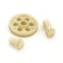 FTX Havok Spur Gear And Drive Pinions