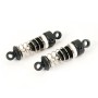 FTX Havok Front/rear Shock Absorbers (pr)