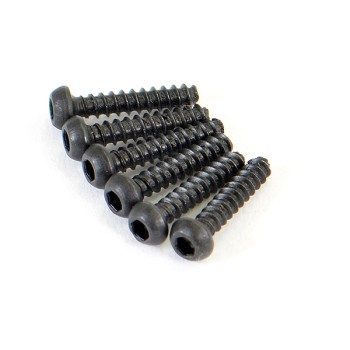 FTX Round Head Self Tapping Hex Screw 6pcs2*10