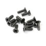 FTX Ravine Round Head Screw 2 x 6mm (12)