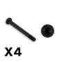 FTX Outback Fury Rear Lower Susp Arm Screw 3x29mm (4pc)