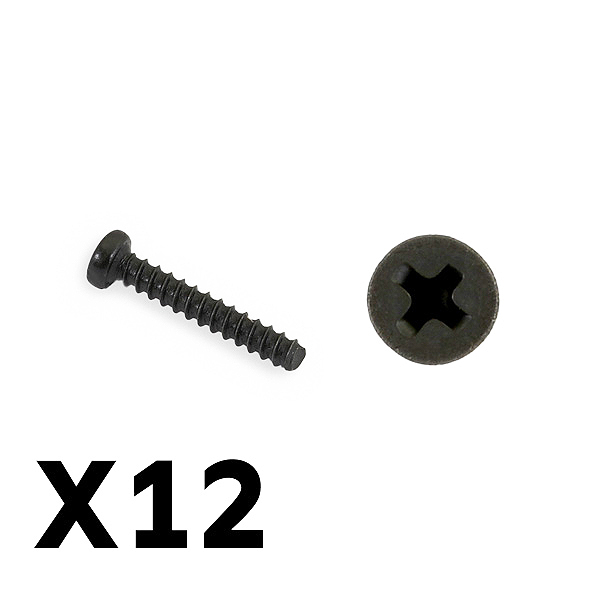 FTX Tracer Pan Head Self Tapping Screws Pbho2x12mm