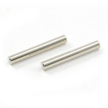 FTX Vantage/Carnage/Outlaw/Banzai Diff Pin 2pcs
