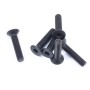 FTX Flat Head Hex 6pcs m3*14