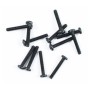 FTX Edge/Siege Round Head Screw 3x18.5mm