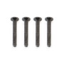FTX Outback Button Head Screw M2*14 (4)
