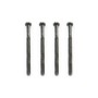 FTX Outback Rounded Head Screw M2*27 (4)